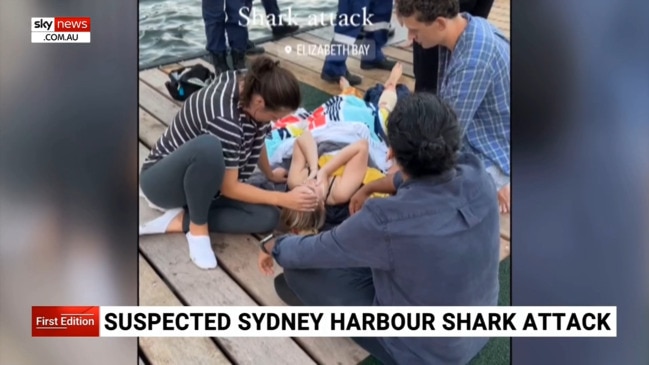 Woman seriously injured after suspected shark attack in Sydney Harbour