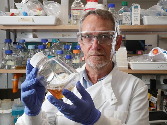 Professor of Virology Paul Young in the Molecular Virology Lab, where they are working on a rapid response vaccine pipeline at the School of Chemistry and Molecular Biosciences, UQ, St. Lucia. Photographer: Liam Kidston.