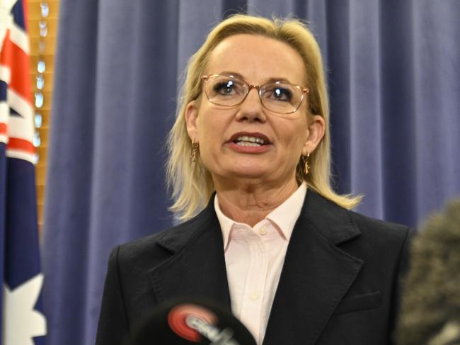 Newly elect Opposition Leader Sussan Ley. Picture: NewsWire / Martin Ollman