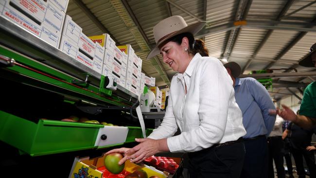 Queensland Premier Annastacia Palaszczuk packs mangoes during a visit to an orchard and packing facility near Bowen. Ms Palaszczuk announced cuts to irrigation prices for farmers should Labor wins government on October 31. Picture: NCA NewsWire/Dan Peled