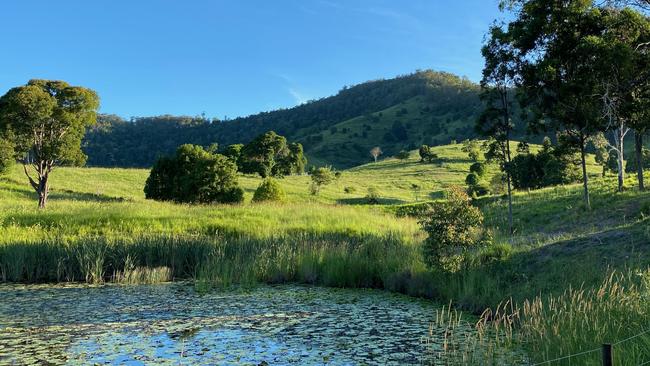 Heart and Soul is located on a dairy farm in Cedar Pocket, about 11km from Gympie.