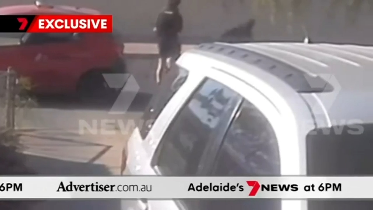 The Advertiser, 7NEWS Adelaide: Pizza driver attack, Horror One Tree Hill crash