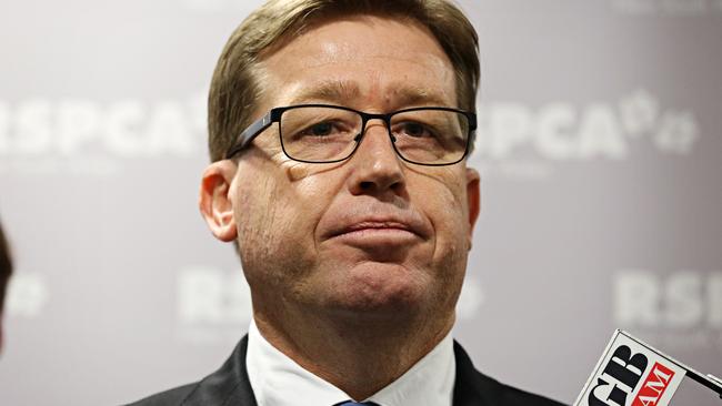 Deputy Premier Troy Grant could step in to sack the Eels board.