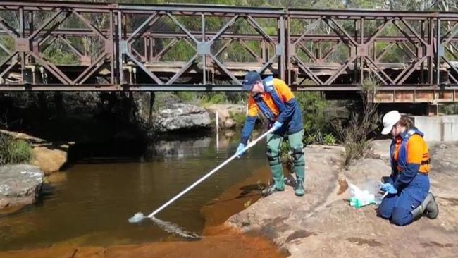 A water sample being collected.