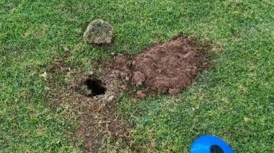 Holes on one of the Hills ovals. Picture: Marc Richards