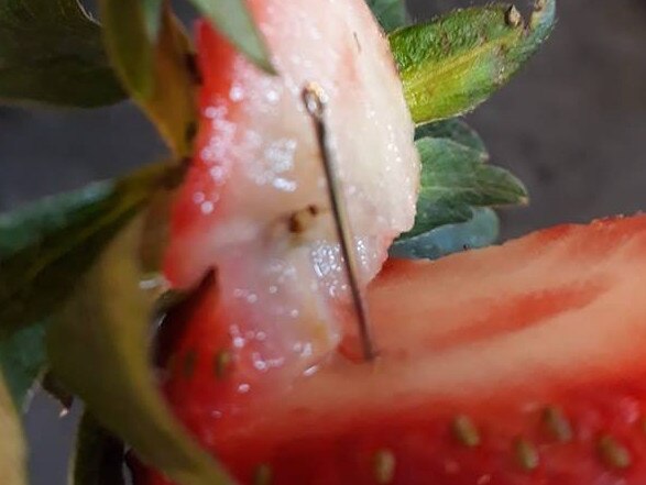 Gladstone woman Angela Stevenson said she got two needles from one punnet of Berry Obsession strawberries in the past week