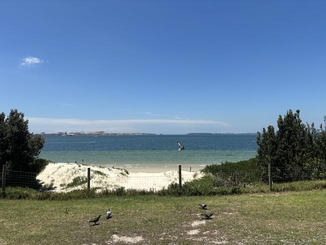 Sections of the Brighton-Le-Sands foreshore looks out over Botany Bay, but residents will now have their outlook impeded by a shipping container. Picture: Thomas Henry