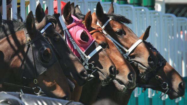 Punters will need to find runners who love wet tracks at Canterbury on Wednesday. Picture: Mark Evans