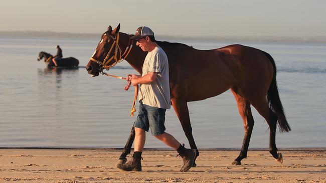 The Gai Waterhouse-trained English enjoys a morning at Botany Bay. Picture: Getty Images