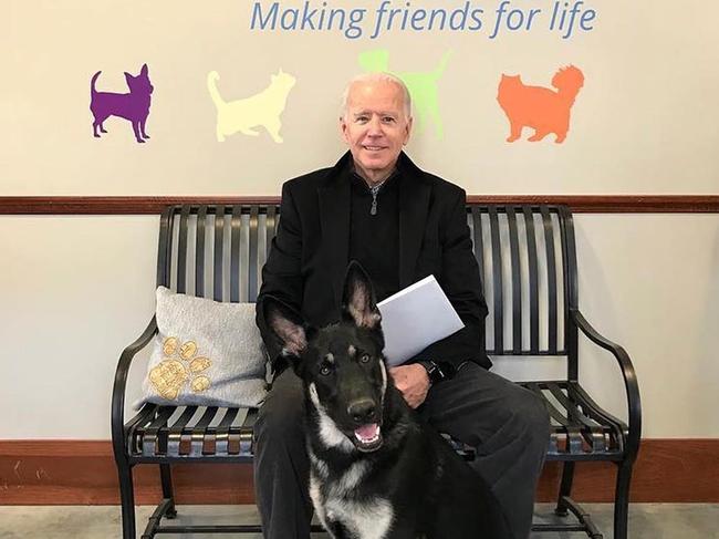 Joe Biden adopted a German Shepherd rescue dog in 2018. Picture: Instagram