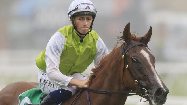 Tom Sherry looks a good chance to bring up 50 winners for his boss, Mark Newnham. Picture: Getty Images