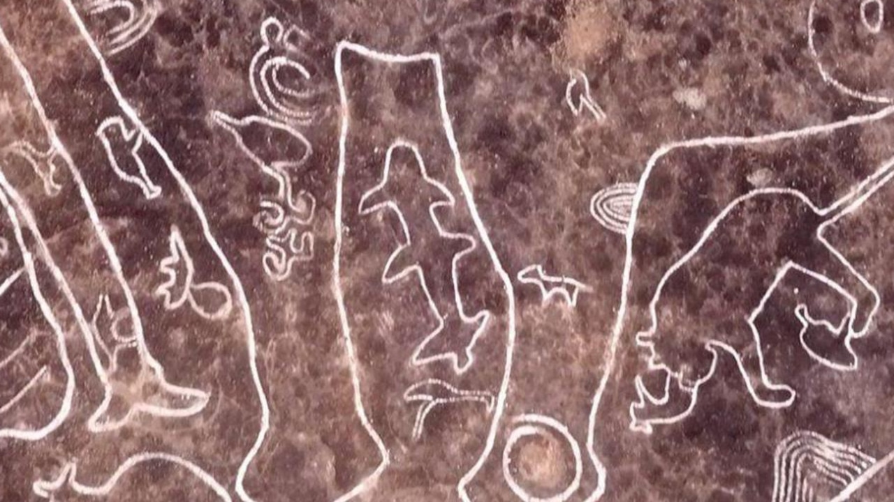 The rock carvings were found in the Konkan region of Maharashtra, India. Picture: BBC Marathi