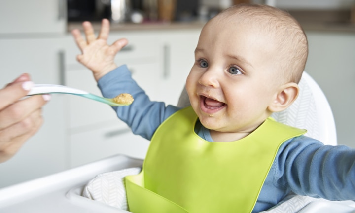 high chair harness kmart