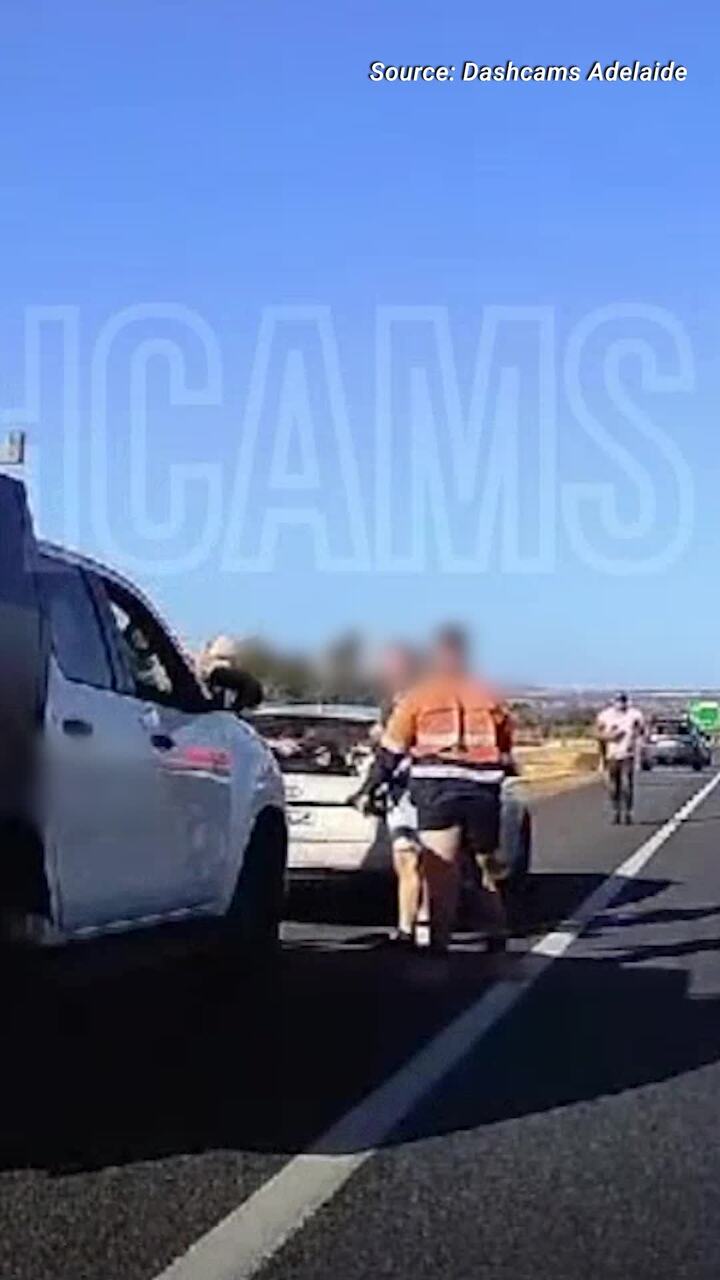 Dashcam of men fighting on Northern Expressway