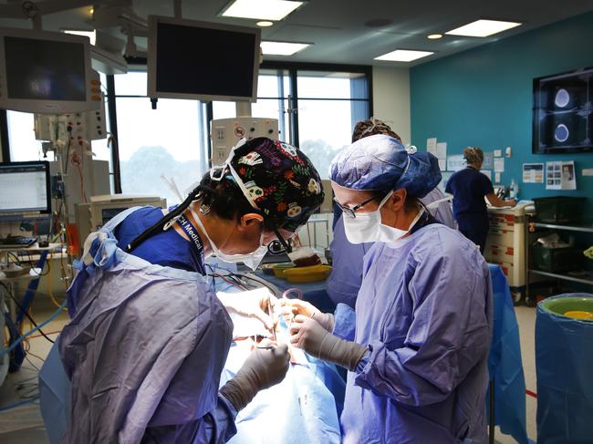 Gosford Hospital treats about 150 people with brain bleeds a year. (File photo: generic)