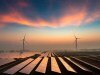 ‘We need more renewables’: Shadow energy minister’s bold admission
