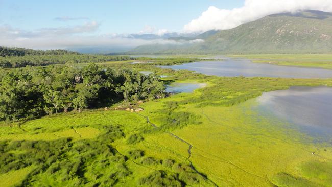 An internationally recognised wetlands in Bowling Green Bay National Park has received a $2 million boost.