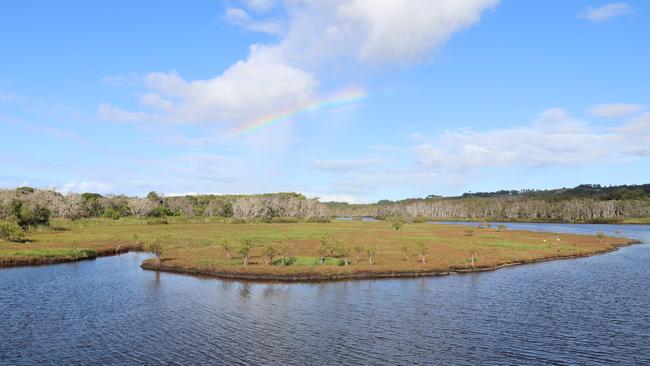 Tallow Creek, Byron Bay, experienced a significant fish kill in June 2019.