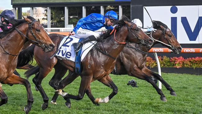 Cylinder (blue silks) makes a late dive for the line to win the Vain Stakes at Caulfield. Picture: Reg Ryan/Racing Photos via Getty Images