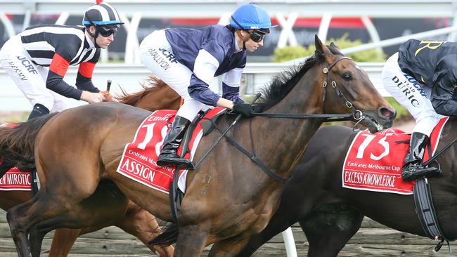 Kerrin McEvoy rode Almandin to victory in the 2016 Cup but will partner Assign (above) at Sandown. Picture: Wayne Ludbey