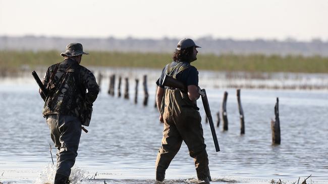 Duck hunters say science shows their limited 20-day season should be extended to 75 days. Picture: Yuri Kouzmin