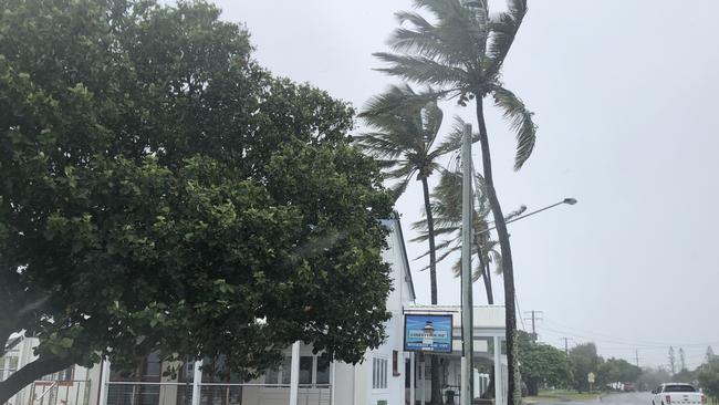 Trees at low tide at Cleveland Point on Friday were bending from the south-westerly wind gusts. Picture: JUDITH KERR