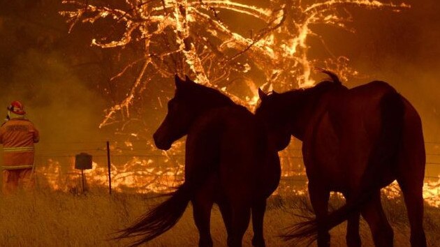 A fire approaches the property of the Bilpin Fruit Bowl on December 21. Photo Jeremy Piper