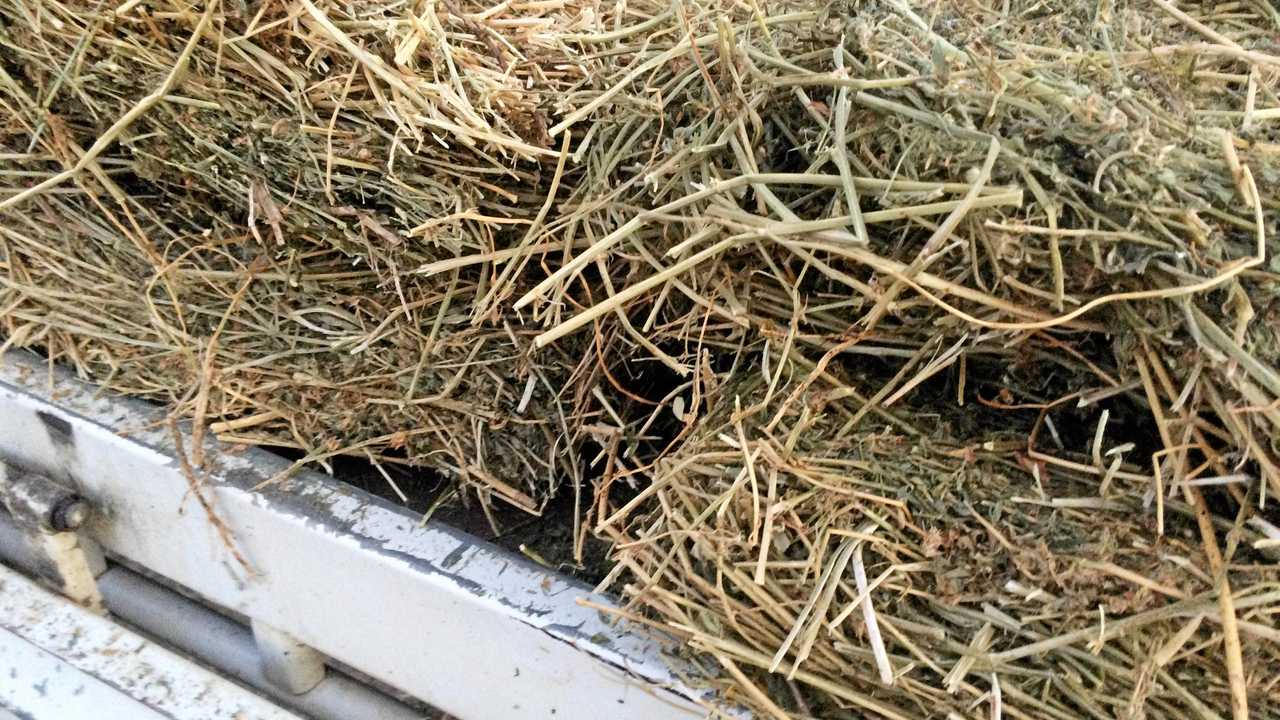 A lot of lucerne hay is being fed in the drought. Picture: Gerard Walsh