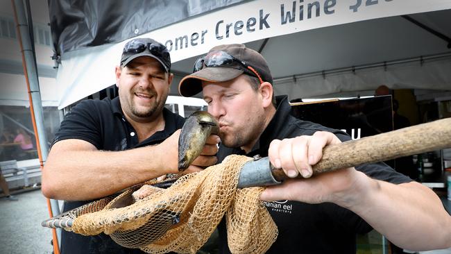 Tasmanian Eel Exporters' general manager Brad Finlayson, left, with his business adviser Chris Millington and a 25-year-old eel at the Taste of Tasmania. Picture: SAM ROSEWARNE