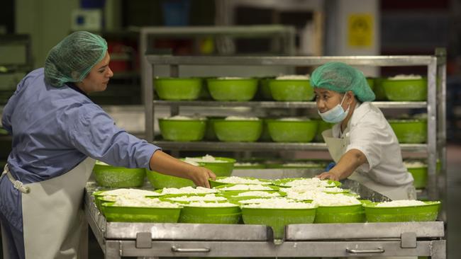 DAIRY: Floridia CheeseFloridia Cheese at Thomastown with Mauro MontaltoPICTURED: Generic cheese factoryPICTURE: ZOE PHILLIPS