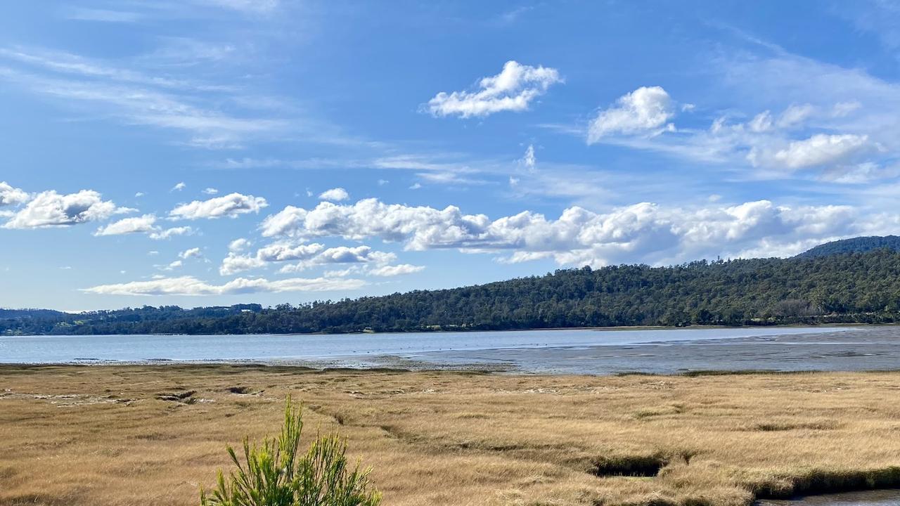 Tasmania's Tamar River appears noticeably "empty" following native swan cullings. Picture: Twitter