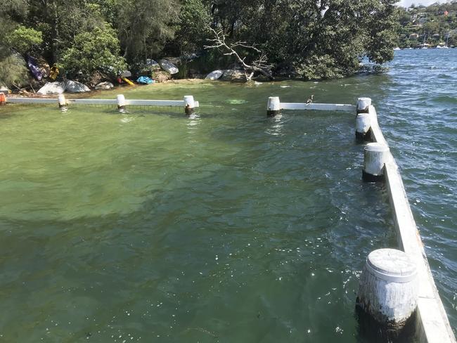 Pickering Point pool at Seaforth. Picture Manly Daily