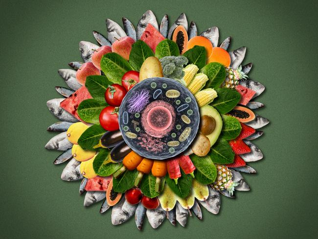 26 December 2024; A collage of a cell with healthy foods surrounding it. Sources: iStock and Pexels. Artwork by Frank Ling. Ratio 4:3.  For PRINT or DIGITAL.