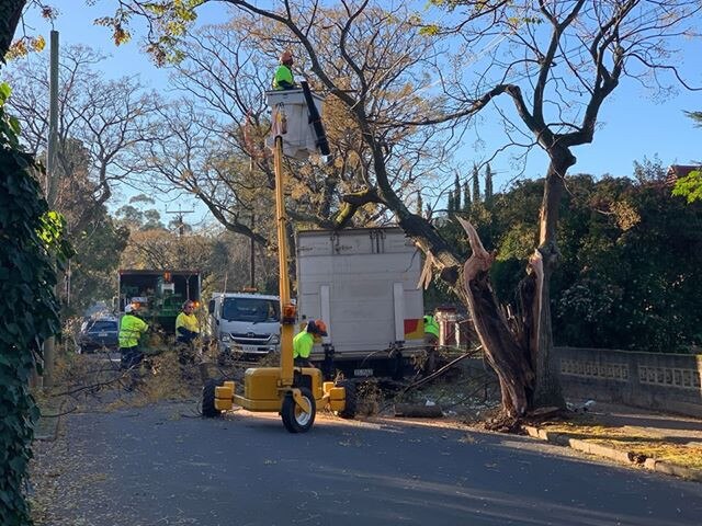 SA Power Networks and council workers were called in to fix the mess. Picture: Ryan Piekarski