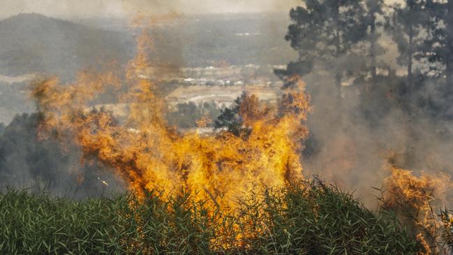 A bushfire tears through Maudsland, blowing smoke over Pacific Pines in January, 2019. Photo: Cam Neville / Aurora Photos