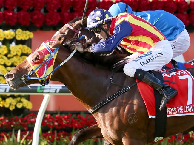 Stars return: Under The Louvre shadows Black Heart Bart to win the Stradbroke Handicap. Picture: Jono Searle