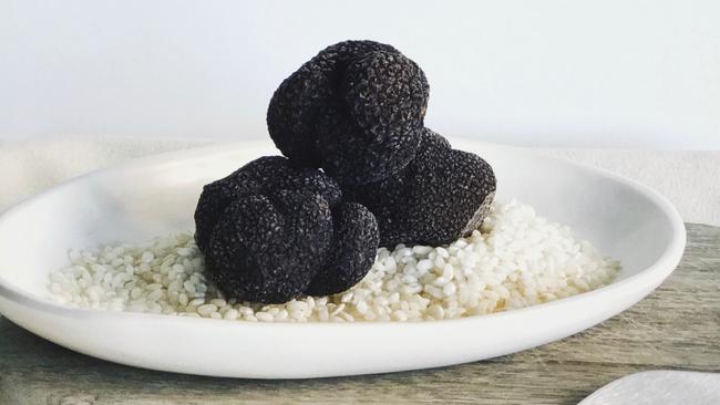 Manjimup Fresh Black Winter Truffles