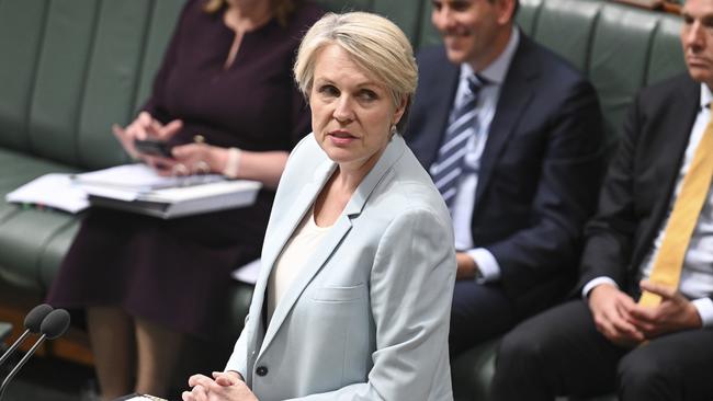 Minister for Environment and Water Tanya Plibersek has approved three new wind farm projects. Picture: NewsWire / Martin Ollman