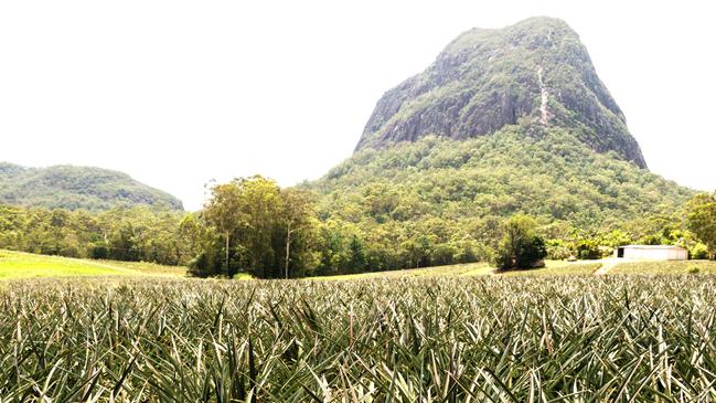 Mount Tibrogargan on the Sunshine Coast.