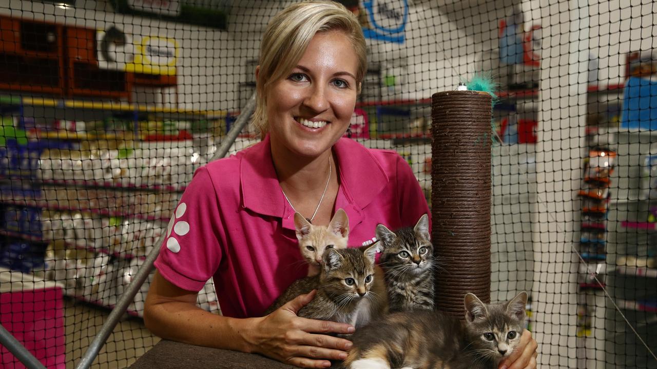 PETstock Cairns and Smithfield hoping to double number of pets adopted