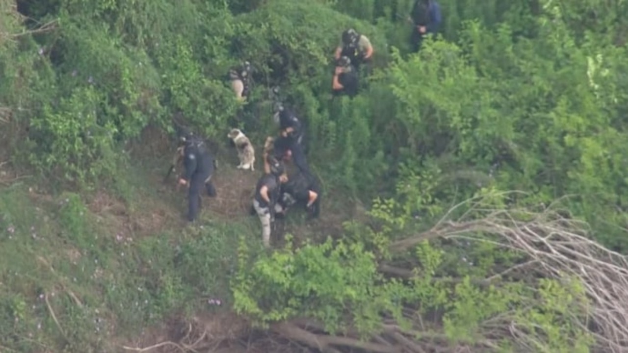 Heavily-armed police officers, accompanied by the dog squad, arrested the men along a riverbank behind the Kempsey Big W. Picture: 9 News