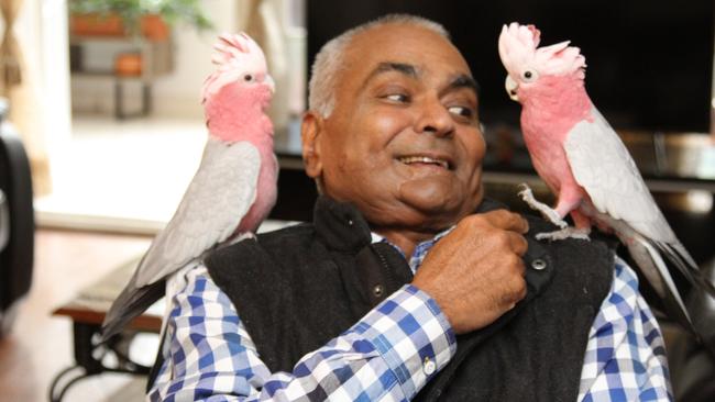 Sujay Singh and his two pet galahs, Jill and Jerry