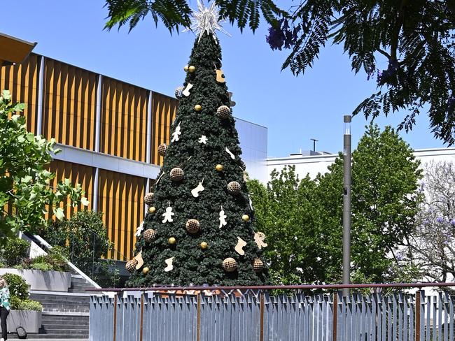 The Christmas tree is in place at Grand Central ready for the official lighting of tree on November 26th.