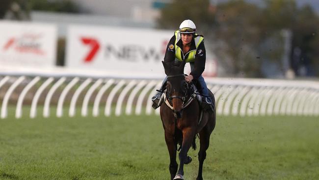 Winx ridden by Johanne Taylor put through early morning track work at the Gold Coast Turf Club on Tuesday morning.  Picture: JERAD WILLIAMS