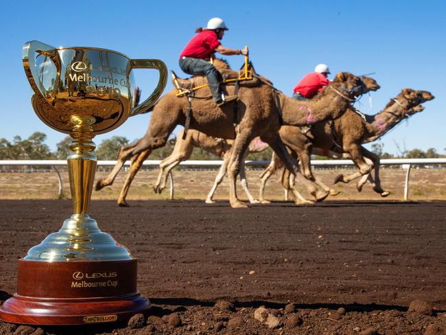 The Cup holds trackside position for The Camel Cup. Picture: Mark Stewart