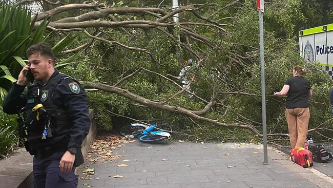 Wild winds have resulted in a tree falling on two people in Sydney's Hyde Park. Image: Supplied