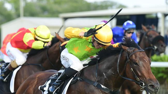 Ben Thompson is one winner behind Jimmy Orman in the premiership. Picture: Grant Peters—Trackside Photography.