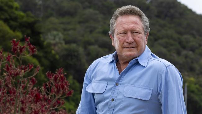 Fortescue chairman Andrew Forrest. Picture: Marie Nirme