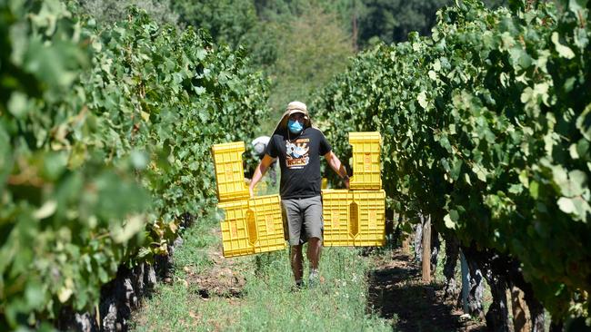 A pandemic cannot stop Australia’s demand for food. Picture: AFP