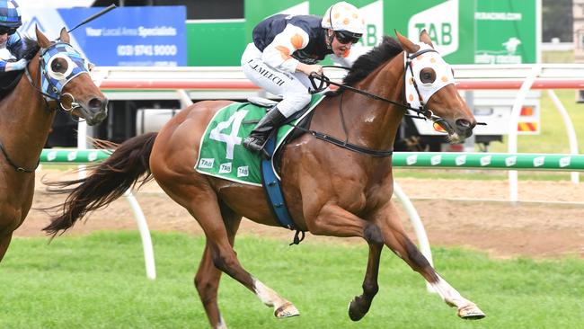 Gavin Bedggood has won more than $500,000 in prizemoney with another online buy, imported galloper Keats. Picture: Racing Photos via Getty Images.